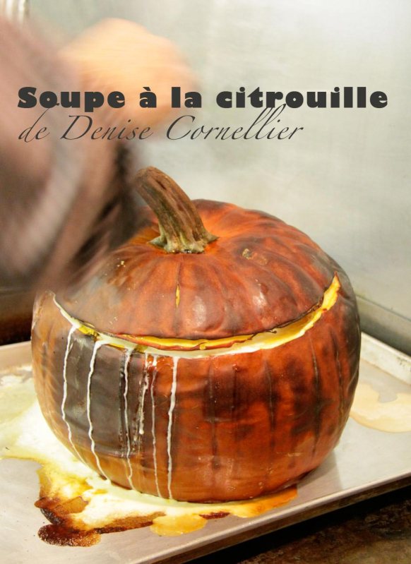 Soupecit